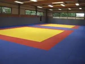 Você conhece as diferenças entre as Superfícies para Lutas com POSIÇÃO ORTOSTÁTICA PREDOMINANTE e DE SOLO