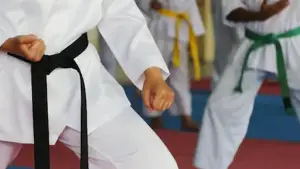 Pisos Esportivos Para Lutas