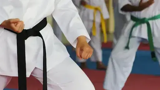 Pisos Esportivos Para Lutas